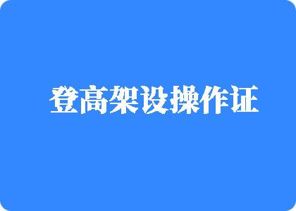 美女鸡鸡免费被操逼登高架设操作证